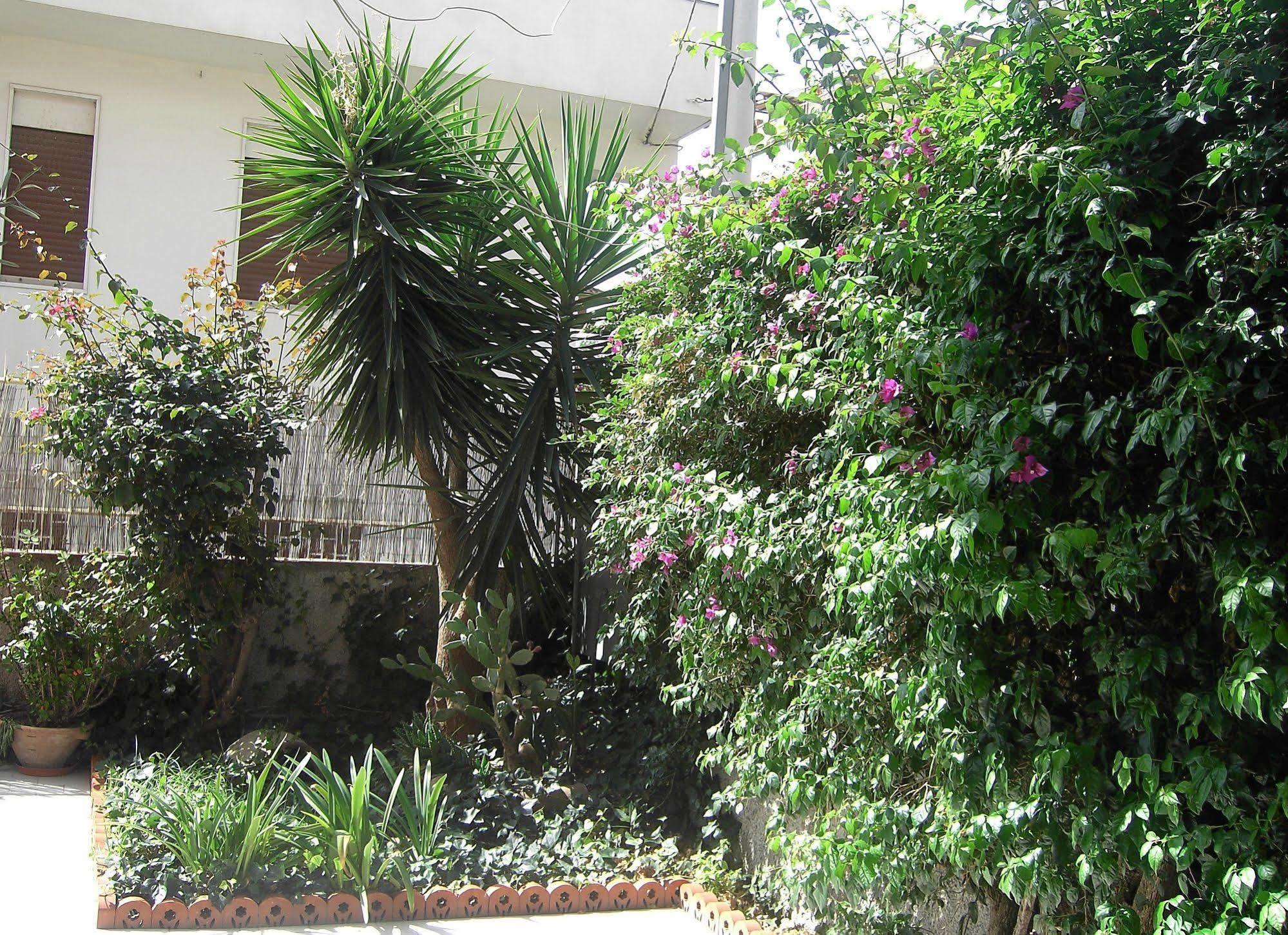 Etna Inn Motta Sant'Anastasia Exterior photo